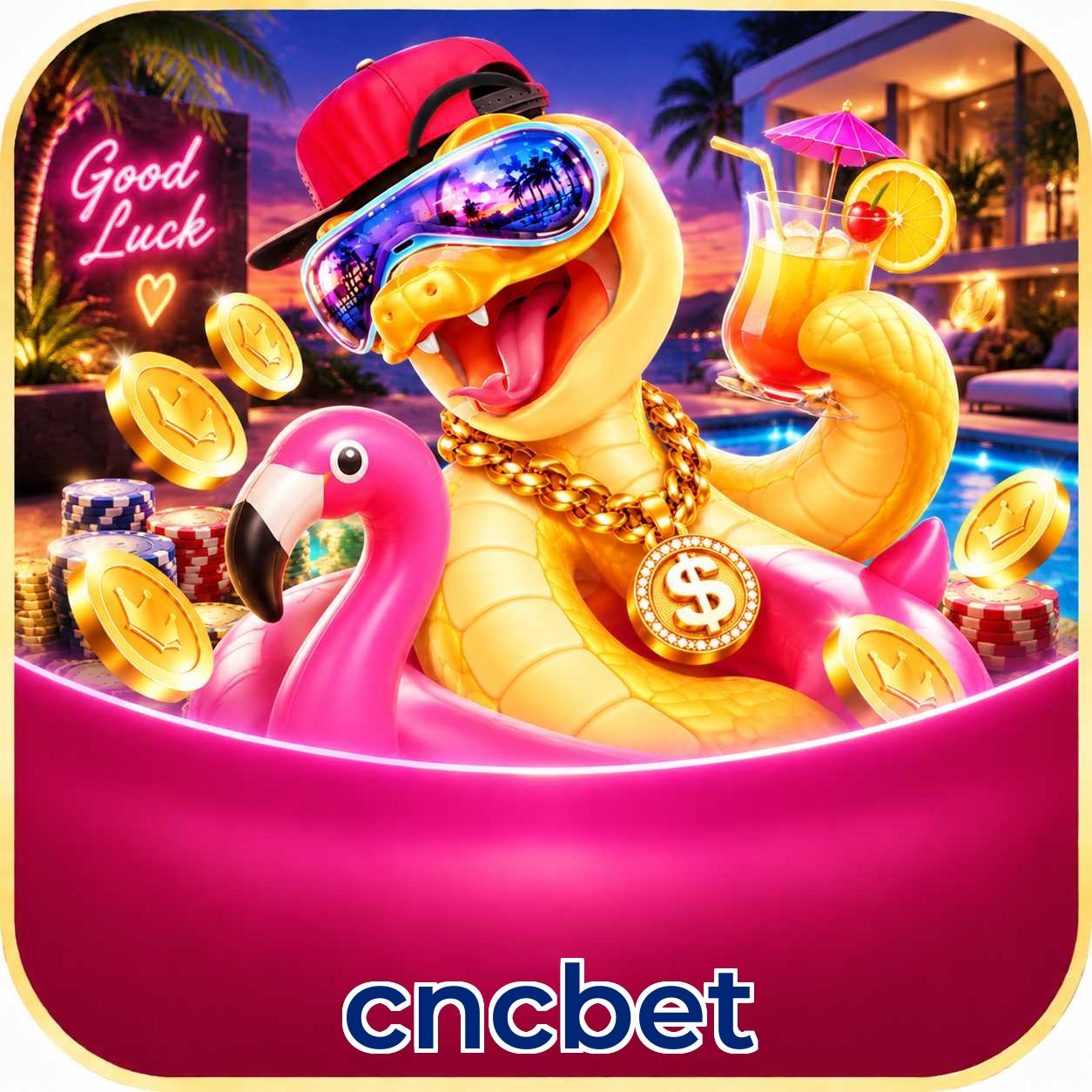 Rollover justo nos bônus promocionais cncbet