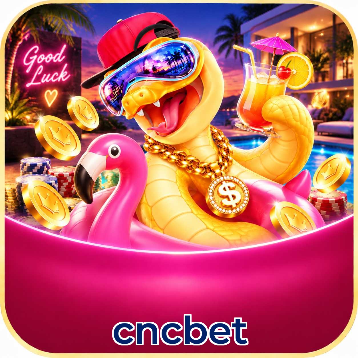 cncbet