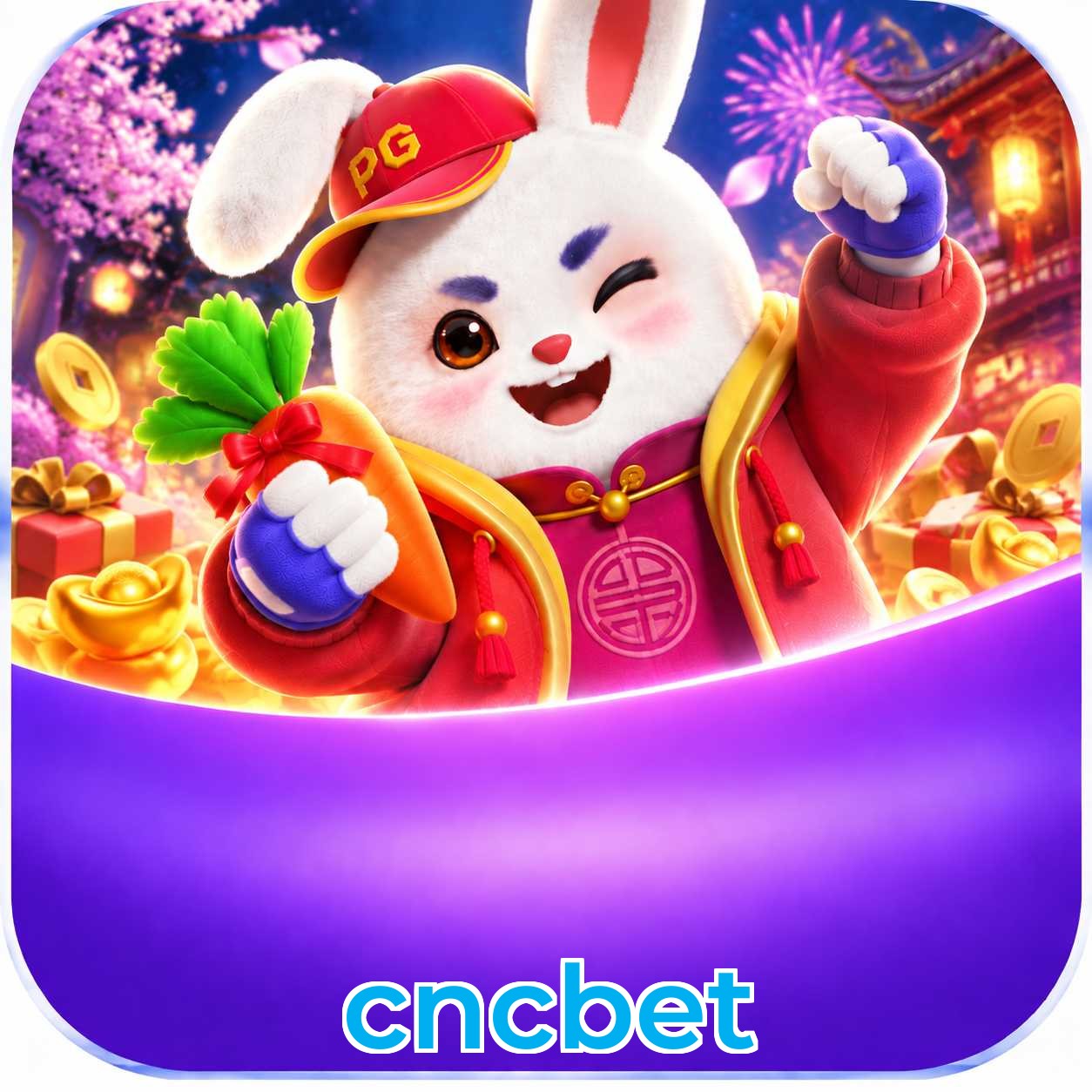 Programa VIP cncbet — 5 níveis de progressão automática